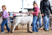 KEB_0640