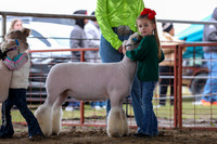 KEB_0642