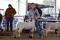 KEB_0650