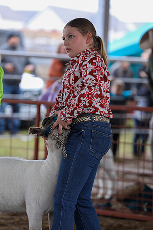KEB_0662