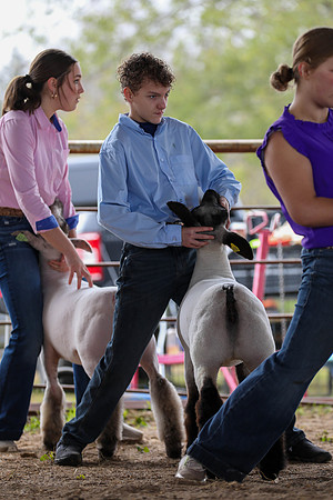 KEB_0689
