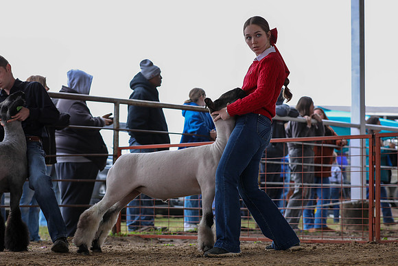KEB_0714