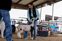 KEB_0771