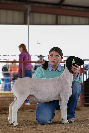 KEB_0775-2