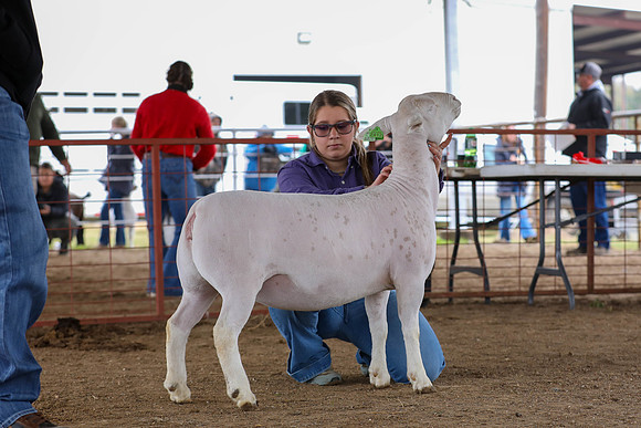 KEB_0784