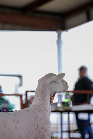 KEB_0788
