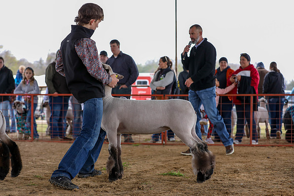 KEB_0817
