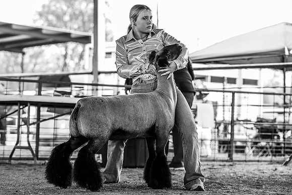 KEB_0827-2