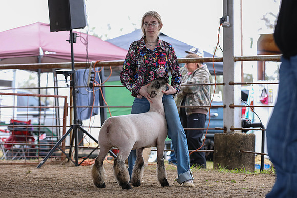 KEB_0831