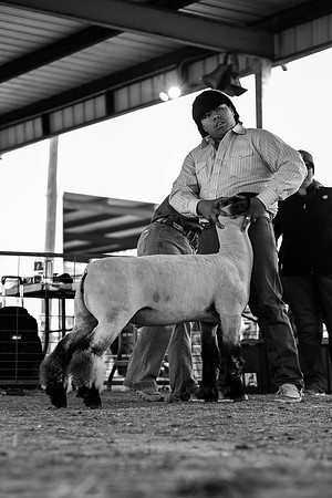 KEB_0848