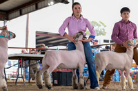 KEB_0894