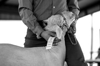 KEB_0903-2