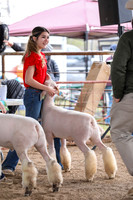 KEB_0909