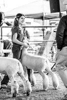 KEB_0909-2
