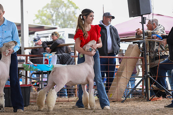 KEB_0917