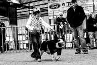 Kaufman Holiday Classic- Swine Show