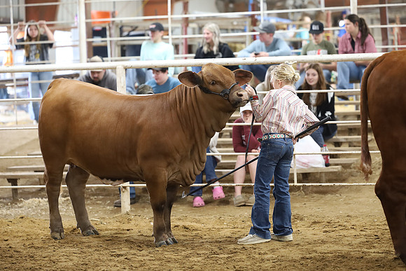 2D721561-AC32-4E64-B950-00DF1FCC7D68