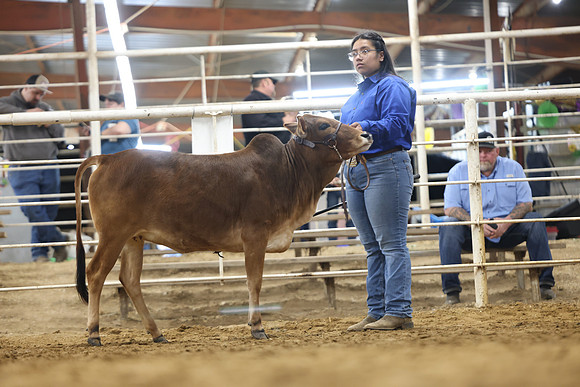 1L3A0323