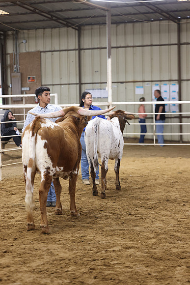 1L3A0301