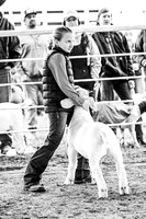 Kaufman Holiday Classic Goat Showmanship