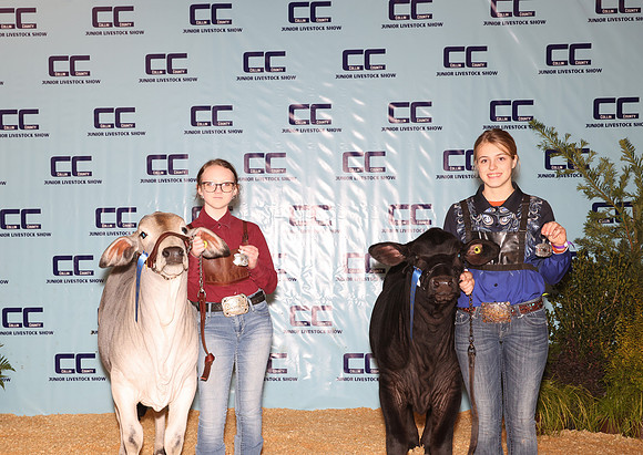 Cattle Backdrop 1