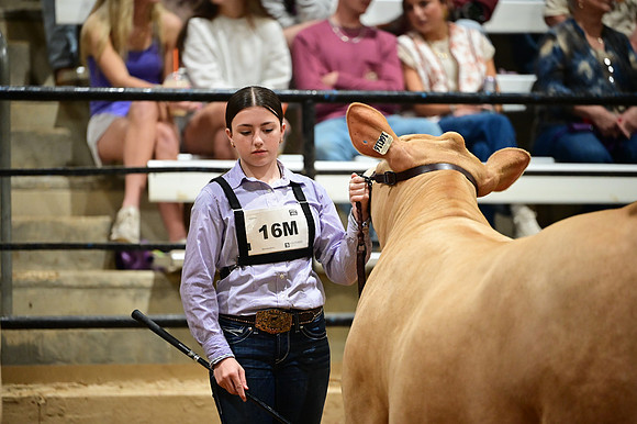 RCM_0195