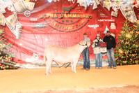 NH- AGR-9699