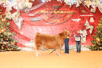 NH- AGR-9706