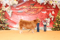 NH- AGR-9704
