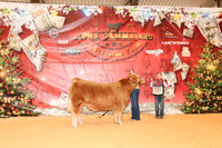 NH- AGR-9703