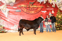 NH- AGR-9689