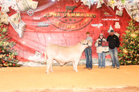 NH- AGR-9696