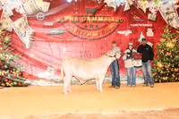 NH- AGR-9697