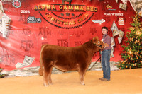 NH- AGR-9680