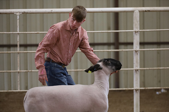 IMG_6430