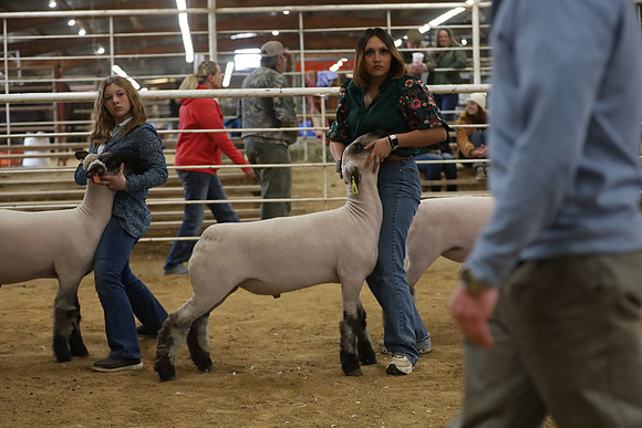 IMG_6456