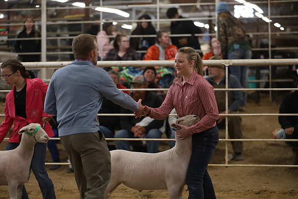 IMG_6101