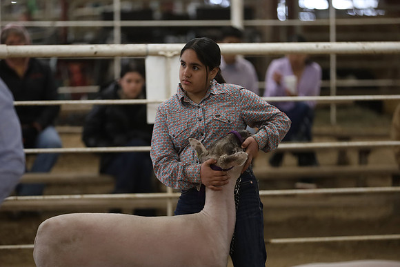IMG_6604