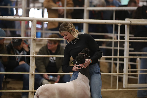 IMG_6015