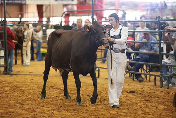 East Texas State Fair - Dairy Show-044