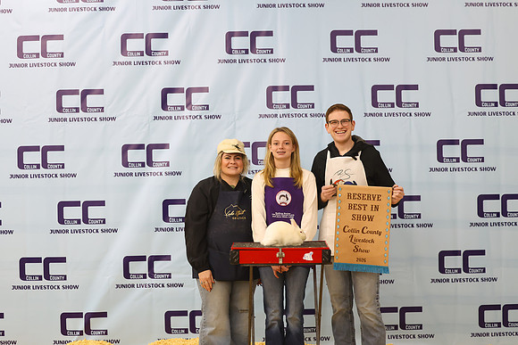 NH- CCJLS-2586