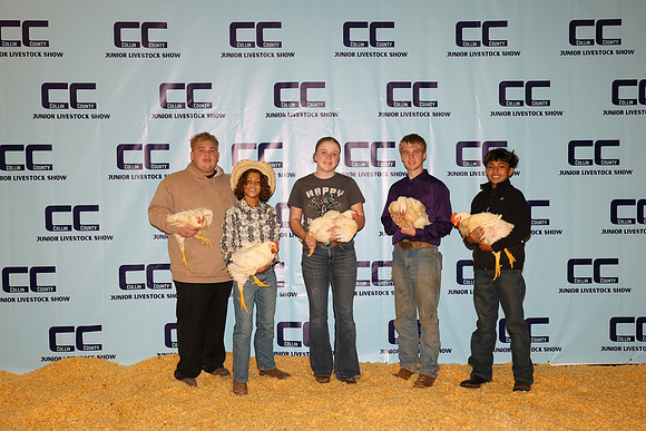 NH- CCJLS-2608