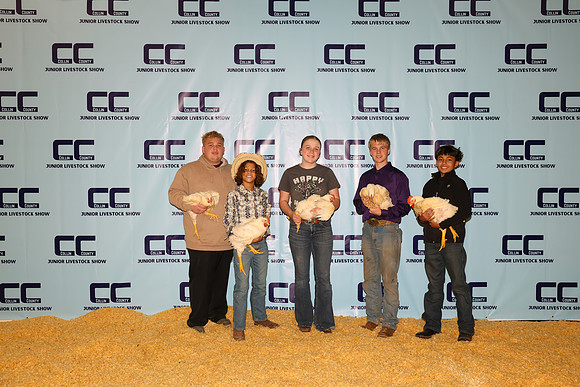 NH- CCJLS-2606