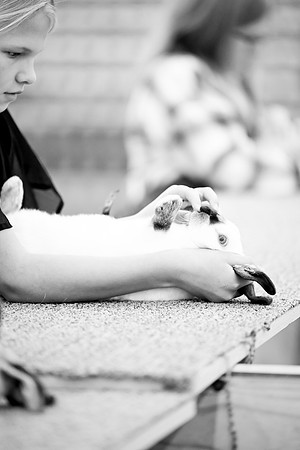 DSC_4717