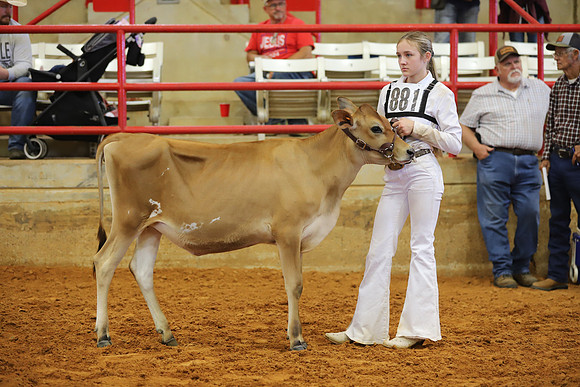 East Texas State Fair - Dairy Show-085