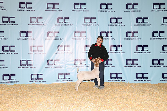 NH- CCJLS-3375