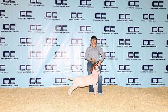 NH- CCJLS-3407