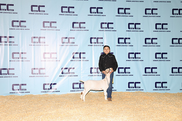 NH- CCJLS-3363