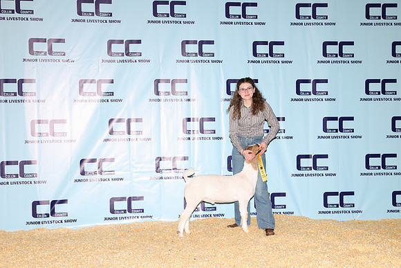 NH- CCJLS-3399