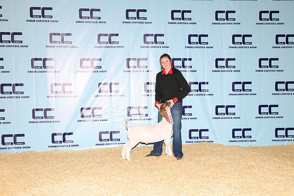 NH- CCJLS-3401